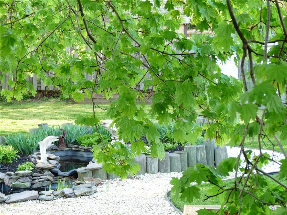 J. D. Thompson Inn Bed And Breakfast Tuckerton Extérieur photo